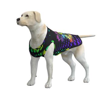 Hunde Sweater "Chiquito"